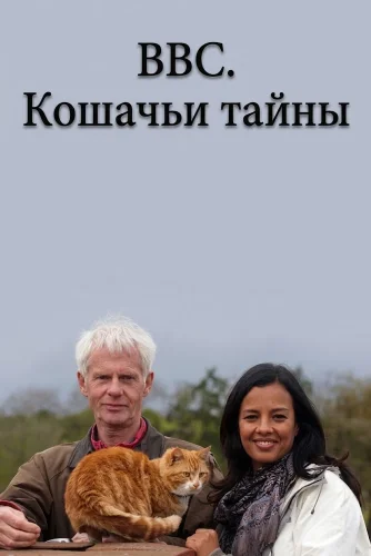 BBC. Кошачьи тайны смотреть онлайн